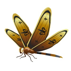 Gold Fantasy Dragonfly